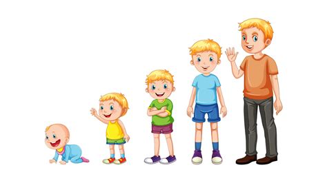 A Criança Em Desenvolvimento - Quais são as 4 etapas do desenvolvimento infantil