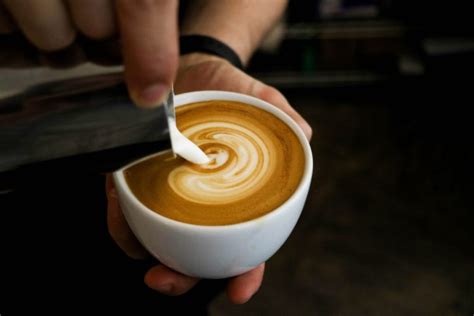 How To Do Latte Art A Beginners Guide Coffeescience