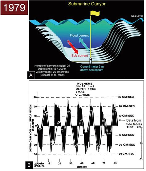 A Conceptual Diagram Showing Cross Section Of A Submarine Canyon With