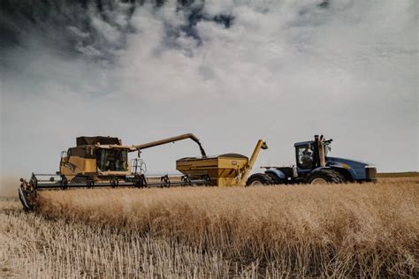 Canola Council Of Canada Statement On Chinas Anti Dumping