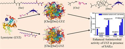 The Journal Of Physical Chemistry B X Mol