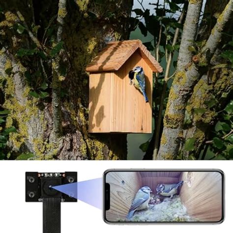 I Tested the Top Birdhouses with Camera and Found the Ultimate Option ...