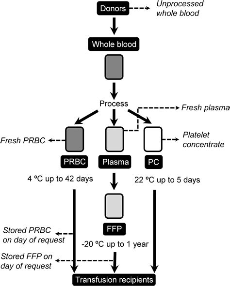 Effects Of Donor Age Donor Sex Blood Component Processing And