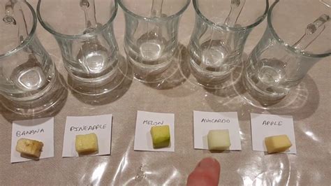 Catalase Hydrogen Peroxide Experiment