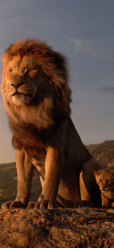 The Lion King Ultra Hd Wallpapers Wallpaper Cave