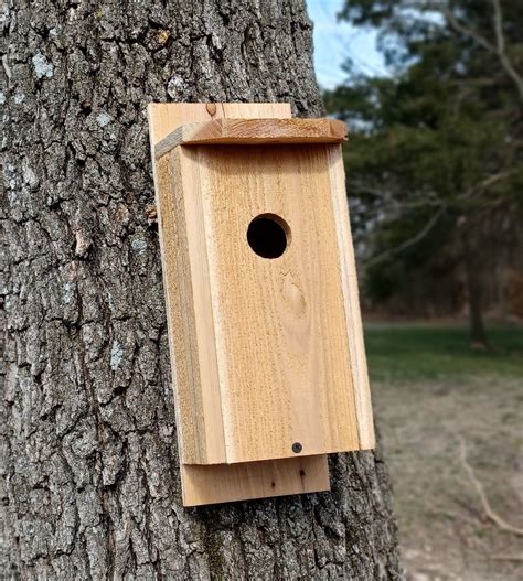 Blue bird house cedar blue bird house etsy – Artofit