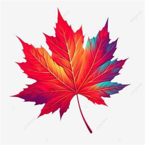 A Colorful Maple Leaves Maple Leaves Maple Leaf Image Colorful Maple