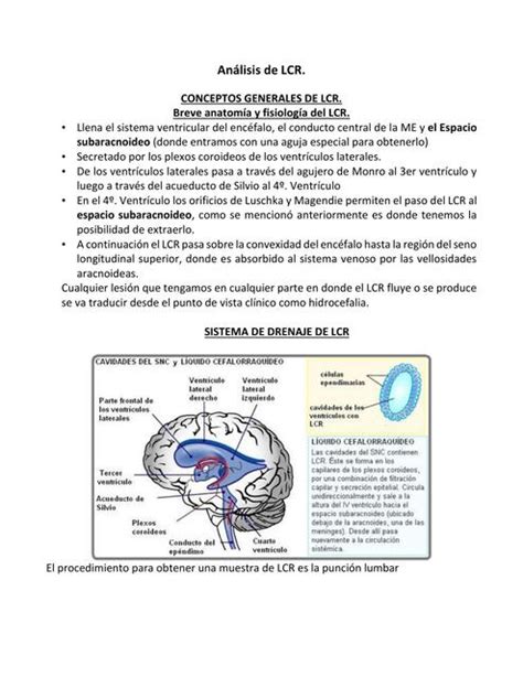 An Lisis De Lcr Raquel Mej A Udocz