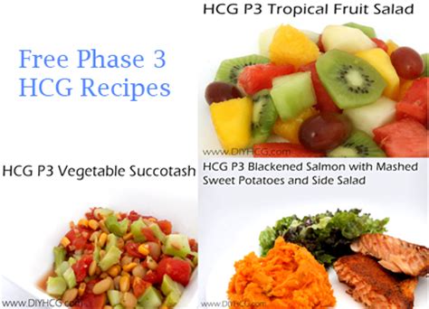 Low Carb High Protein Diet Recipes for HCG Diet and More Plan like Keto