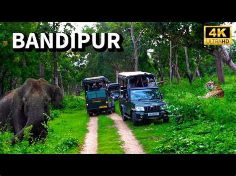 Bandipur Tiger Reserve Safari And Stay Package Bandipur Safari Lodge