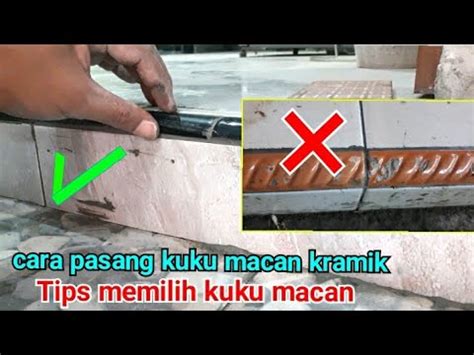 Cara Memasang Kuku Macan Keramik Tips Memilih Kuku Macan Yang Bagus