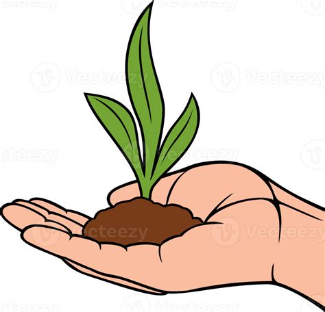 Mano Participaci N Planta Con Hojas Png Ilustraci N Png