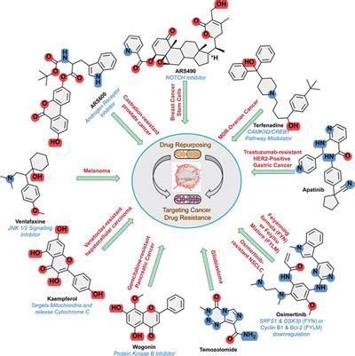 Frontiers Editorial Adopting Drug Repurposing To Overcome Drug