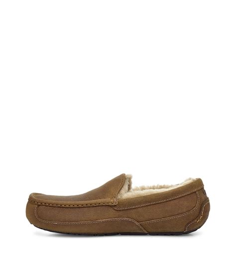 Ugg® Ascot Slipper For Men Ugg® Uk