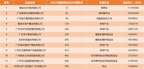 2022中国民营企业500强广州12家企业上榜，唯品会、鼎龙实业跻身千亿俱乐部 It时代网