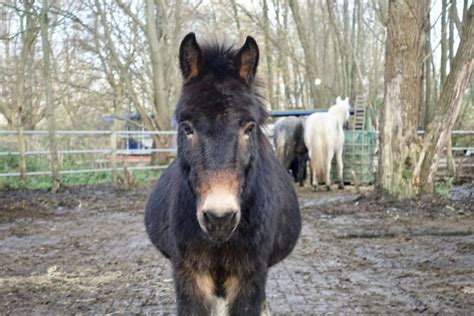 Wie Zijn Wij Boerderij Op IJburg