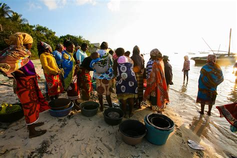 Mozambique: Country Profile | Freedom House