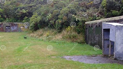 wrights hill gun emplacement buildings editorial stock photo image