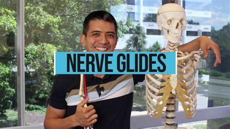 Nerve Glides With Physical Therapist John YouTube