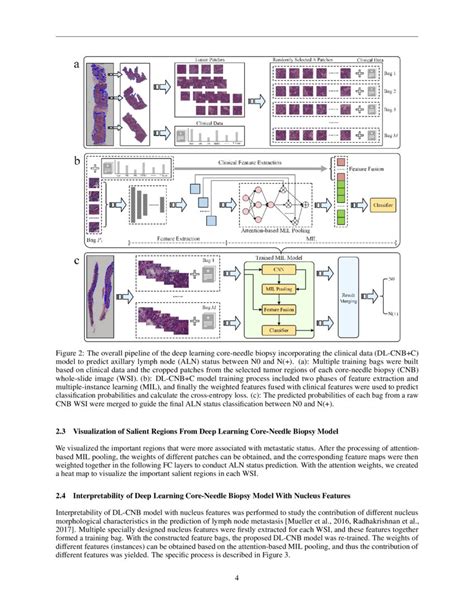 Predicting Axillary Lymph Node Metastasis In Early Breast Cancer Using