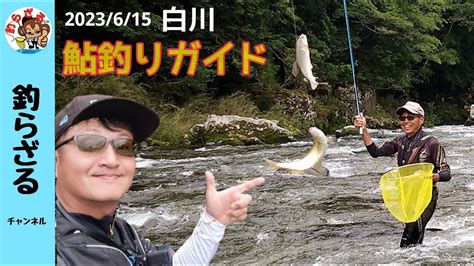 【鮎釣り2023】ガイドツアーの様子も♪岐阜県白川鮎釣り 猿渡俊昭 釣らざるチャンネル Youtube