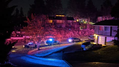 Domestic Violence Suspect Fatally Shot By Police In Puyallup Tacoma