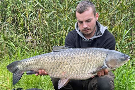 Grass Carp 12 9 Kg Specimen Baits