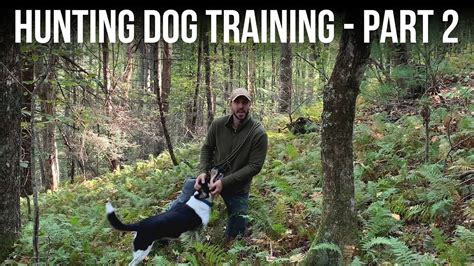 Hunting Dog Training - Part 2 - Survival Tackle