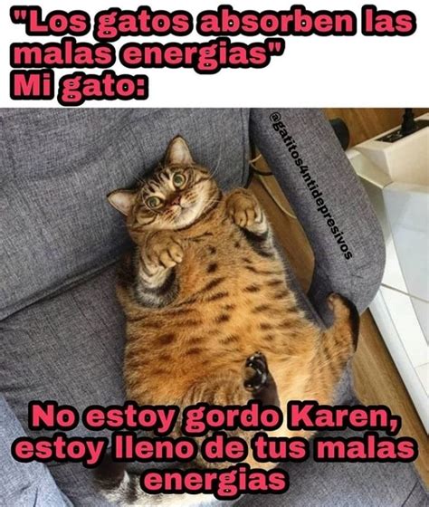 Memes De Karen Y Su Gato Segunda Parte Memes En Espa Ol La Mejor