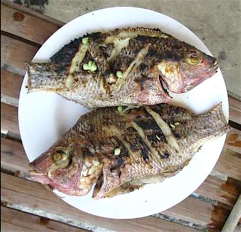 Tilapia Fish in Philippine Cuisine: Fried, Grilled, Sauced...