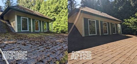 What you need to know about moss removal and your roof — Green Grads