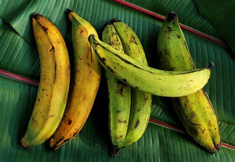 What Is a Plantain?