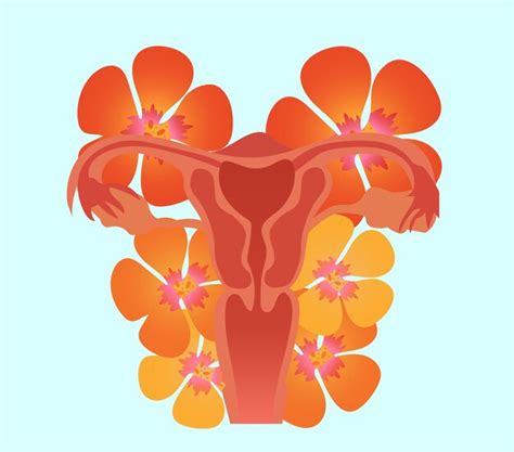 Premium Vector Female Reproductive System With Flowers