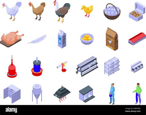 Chicken Poultry Farm Icons Set Isometric Vector Feed Production Egg