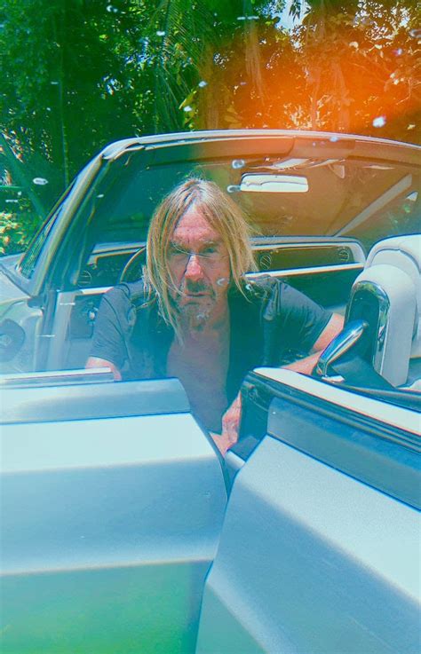 Iggy Pop Announces New Album ‘every Loser Arriving Next Year