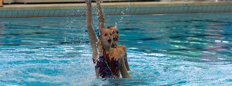 Österreichischer Schwimmverband Platz acht für Arocker und