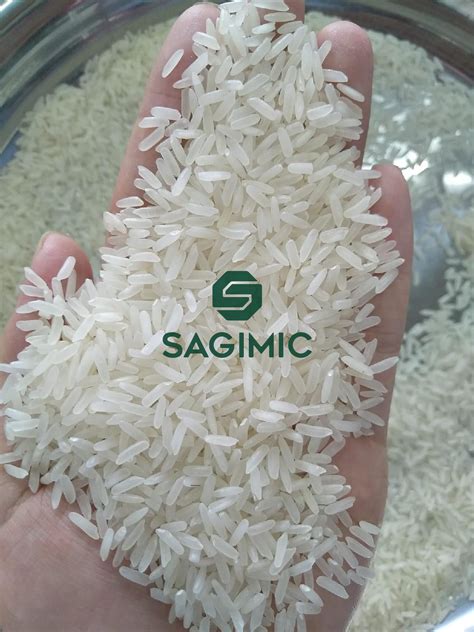 Vietnamese White Rice 5 Broken DT8 SAGIMIC Ecplaza Net