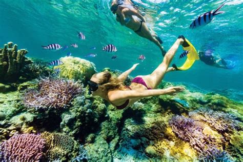 2023 All Inclusive Bali Blue Lagoon Snorkeling With Lunch And Transport