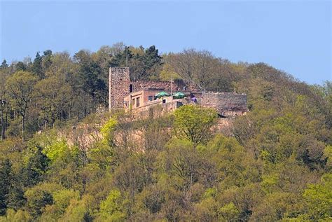 Rhodt Unter Rietburg Mandelwochen