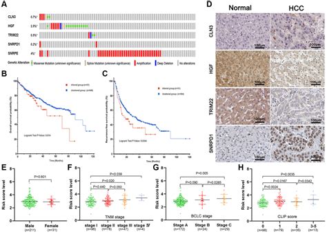 Bioinformatics Analysis And Experimental Validation Of A Novel