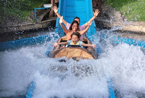 Popular Water Parks & Amusement Parks in Orlando, FL | Redfin