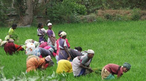 Gender Equality In Renewable Energy