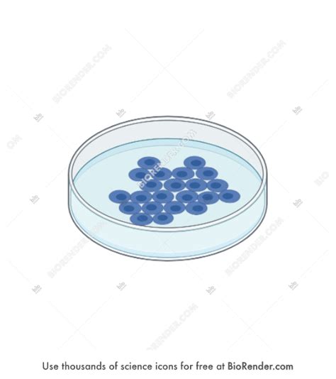 Free Petri Dish With Cells Icons Symbols Images Biorender