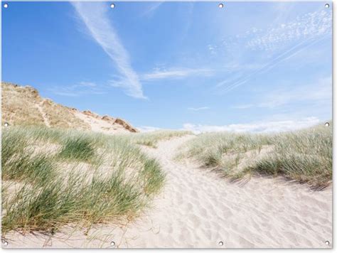 Muurdecoratie Buiten Strand Duin Gras X Cm Tuindoek