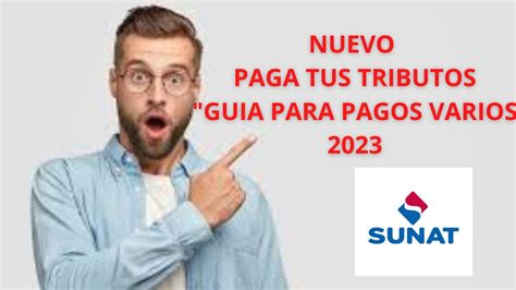 COMO PAGAR TUS TRIBUTOS CON GUIA PARA PAGOS VARIOS SUNAT YouTube