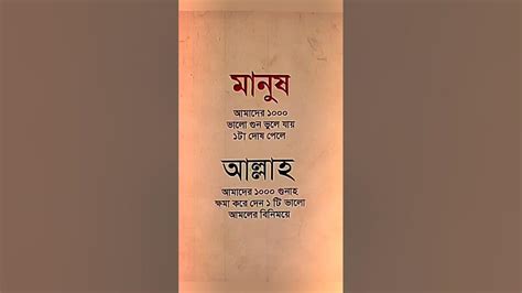 আল্লাহ আমাদের ১০০০ গুনাহ ক্ষমা করে দেন ১টি ভালো আমলের বিনিময়ে 💕