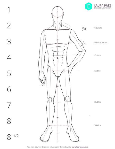 Cómo dibujar un figurín masculino proporciones Laura Páez