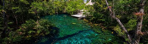 Snorkeling, Ziplines And Cenotes - Private Tour