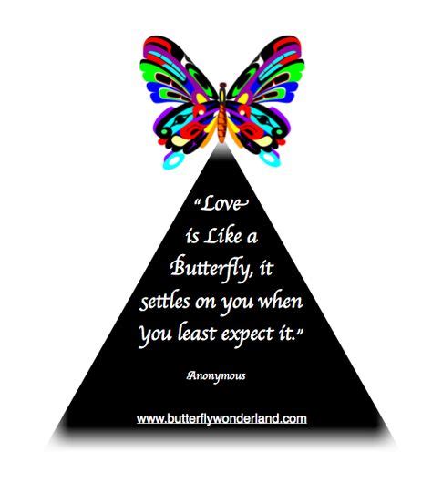 25 Butterfly Poems And Quotes Ideas Butterfly Poems Poem Quotes Butterfly