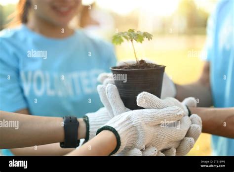 Group Of Volunteers Planting Trees In Park Symbolizing Their Commitment